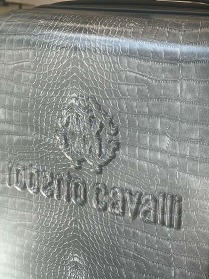 Roberto Cavalli Outlets 4537