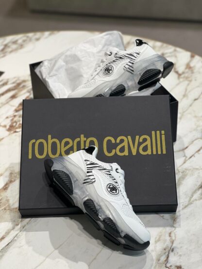 Roberto Cavalli Outlets 5887