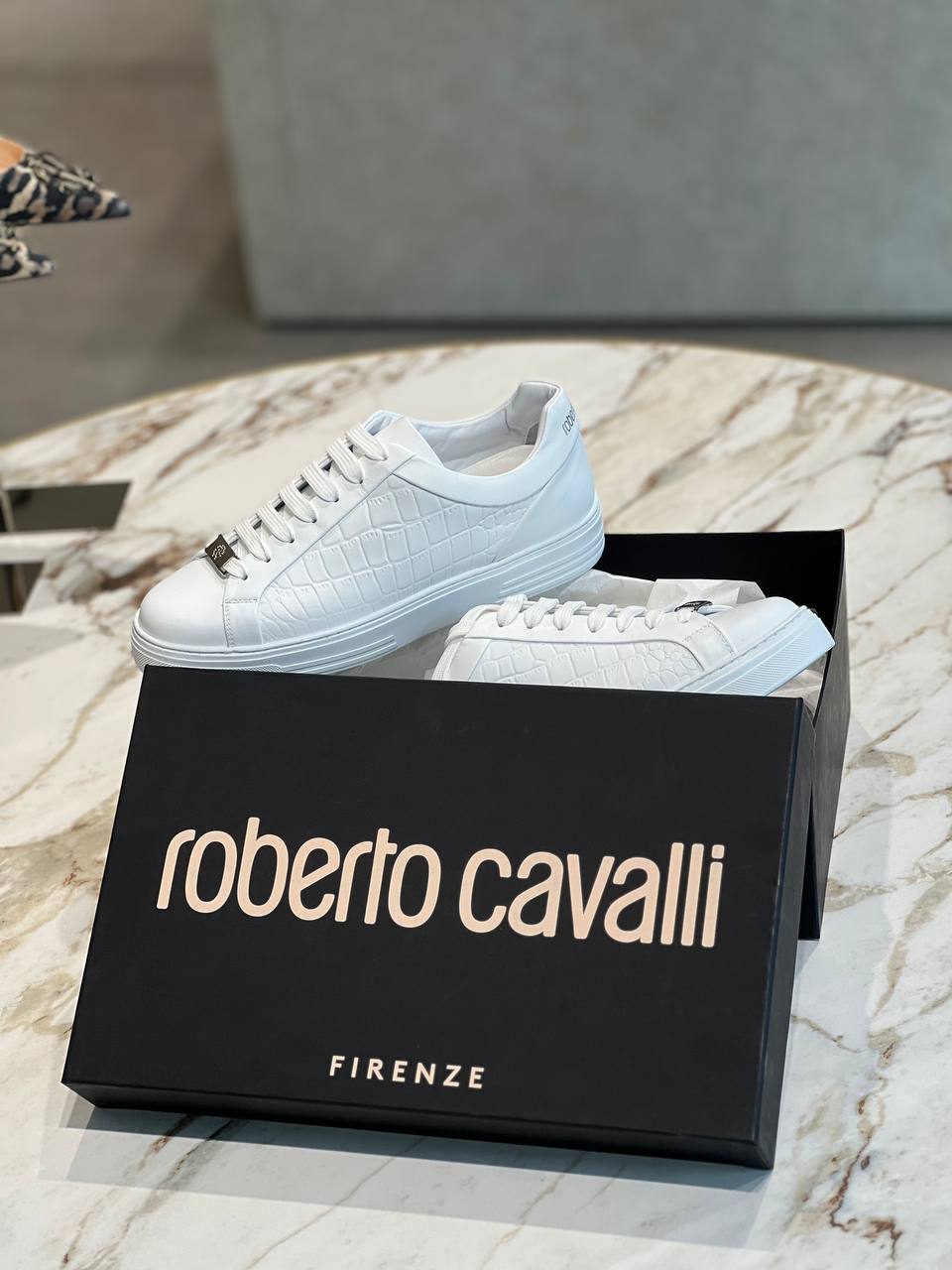 Roberto Cavalli Outlets 6127