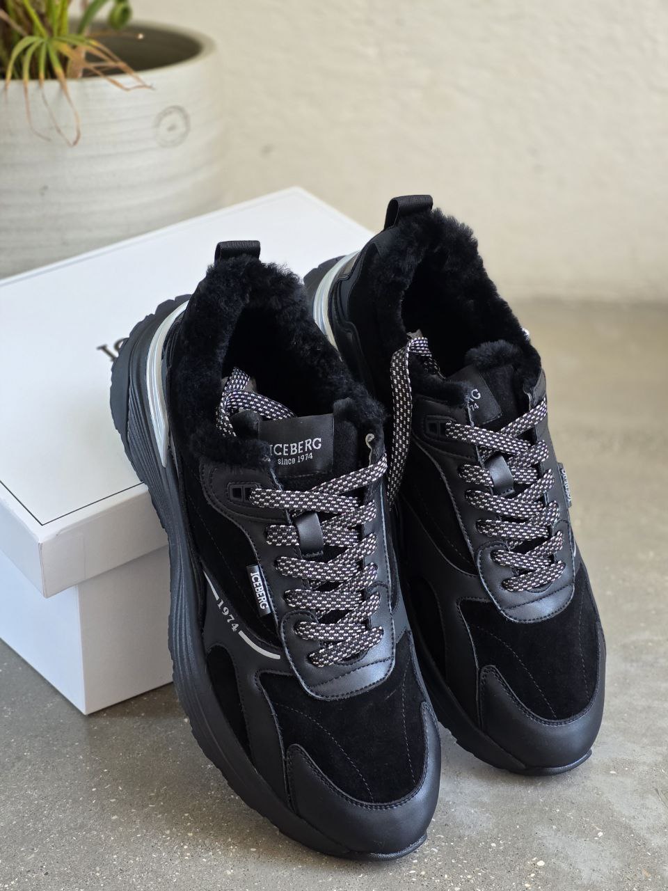 ICEBERG VITTORIO VIRGILI 19371