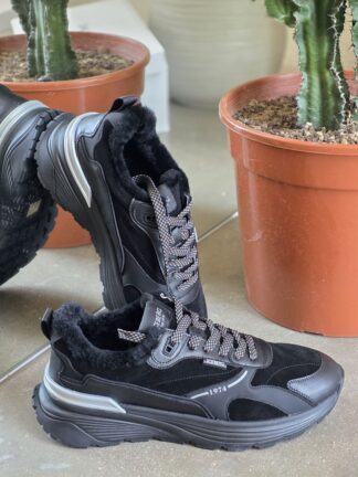 ICEBERG VITTORIO VIRGILI 19372