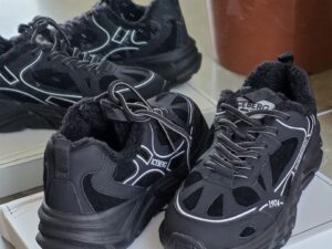 ICEBERG VITTORIO VIRGILI 19380