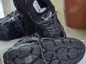 ICEBERG VITTORIO VIRGILI 19381