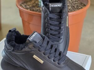 ICEBERG VITTORIO VIRGILI 19391