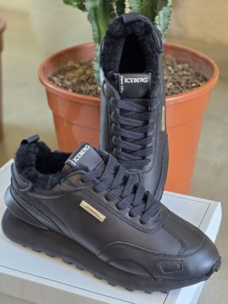 ICEBERG VITTORIO VIRGILI 19391