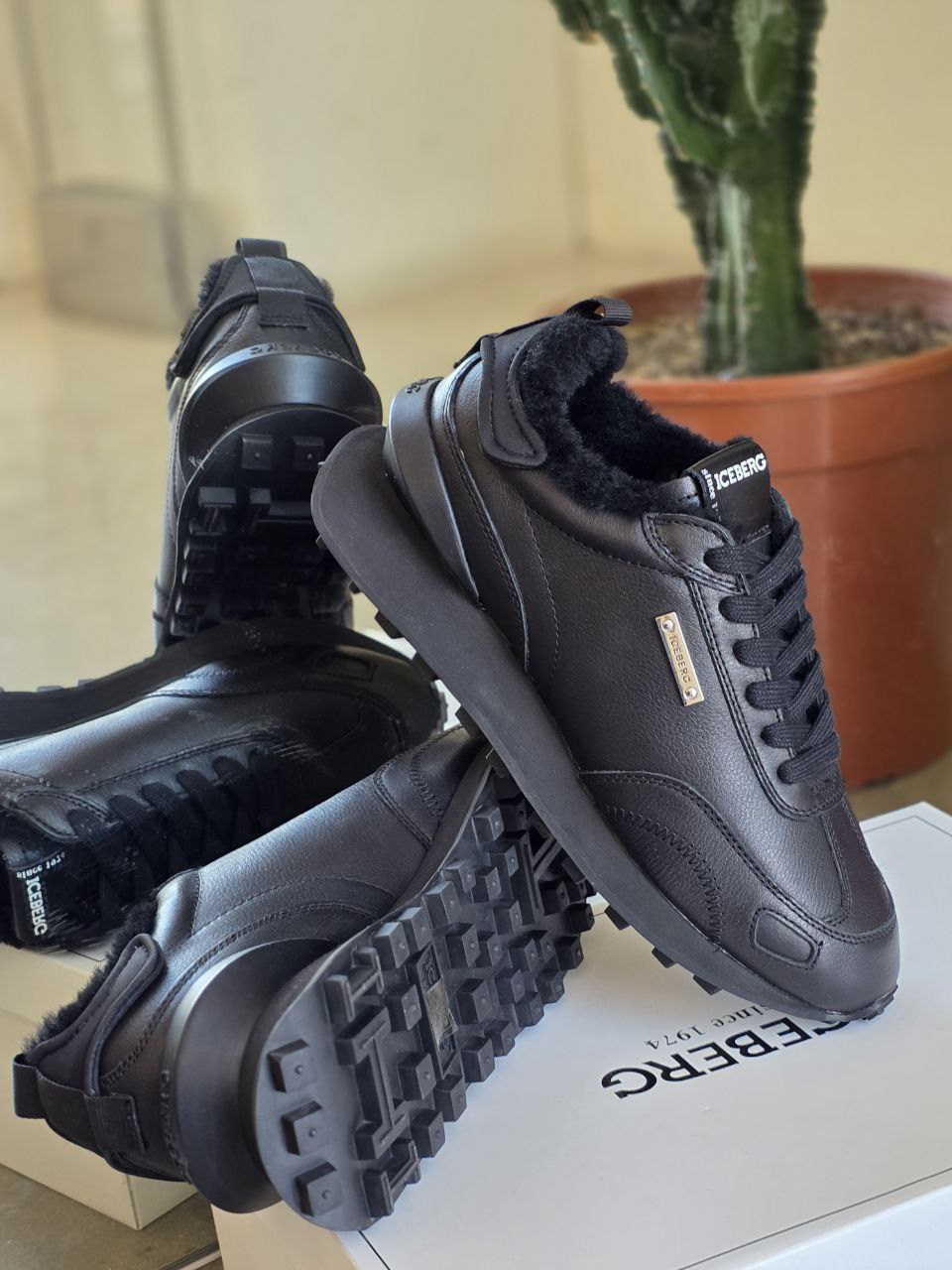 ICEBERG VITTORIO VIRGILI 19392