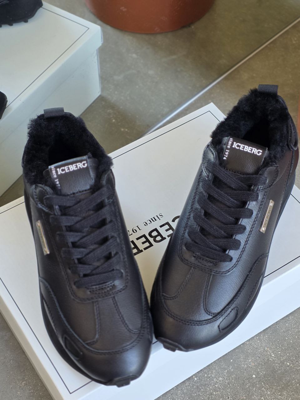 ICEBERG VITTORIO VIRGILI 19393