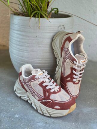 ICEBERG VITTORIO VIRGILI 19418