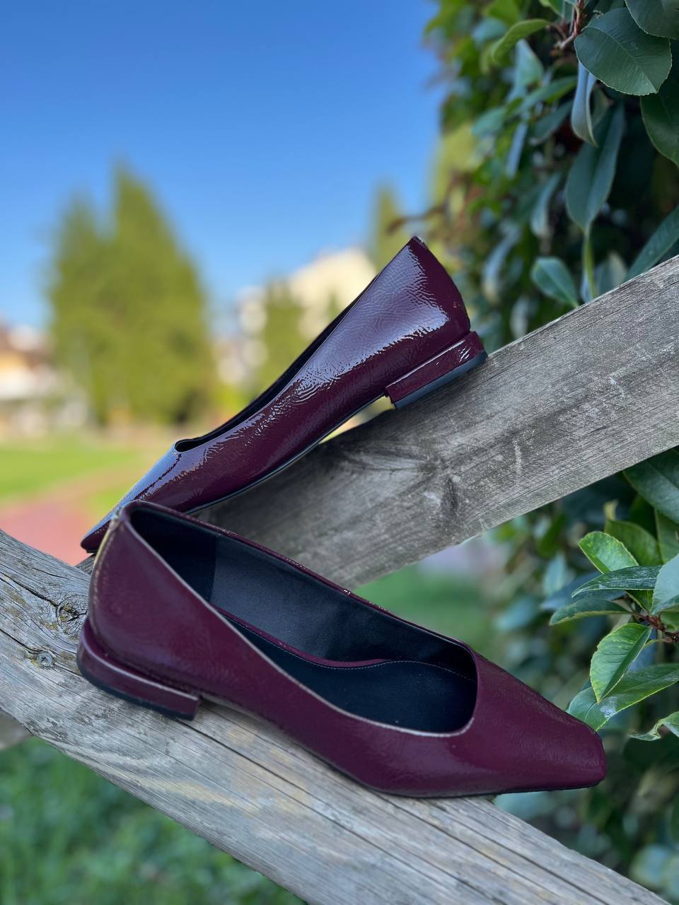 Roberto SERPENTINI 33312