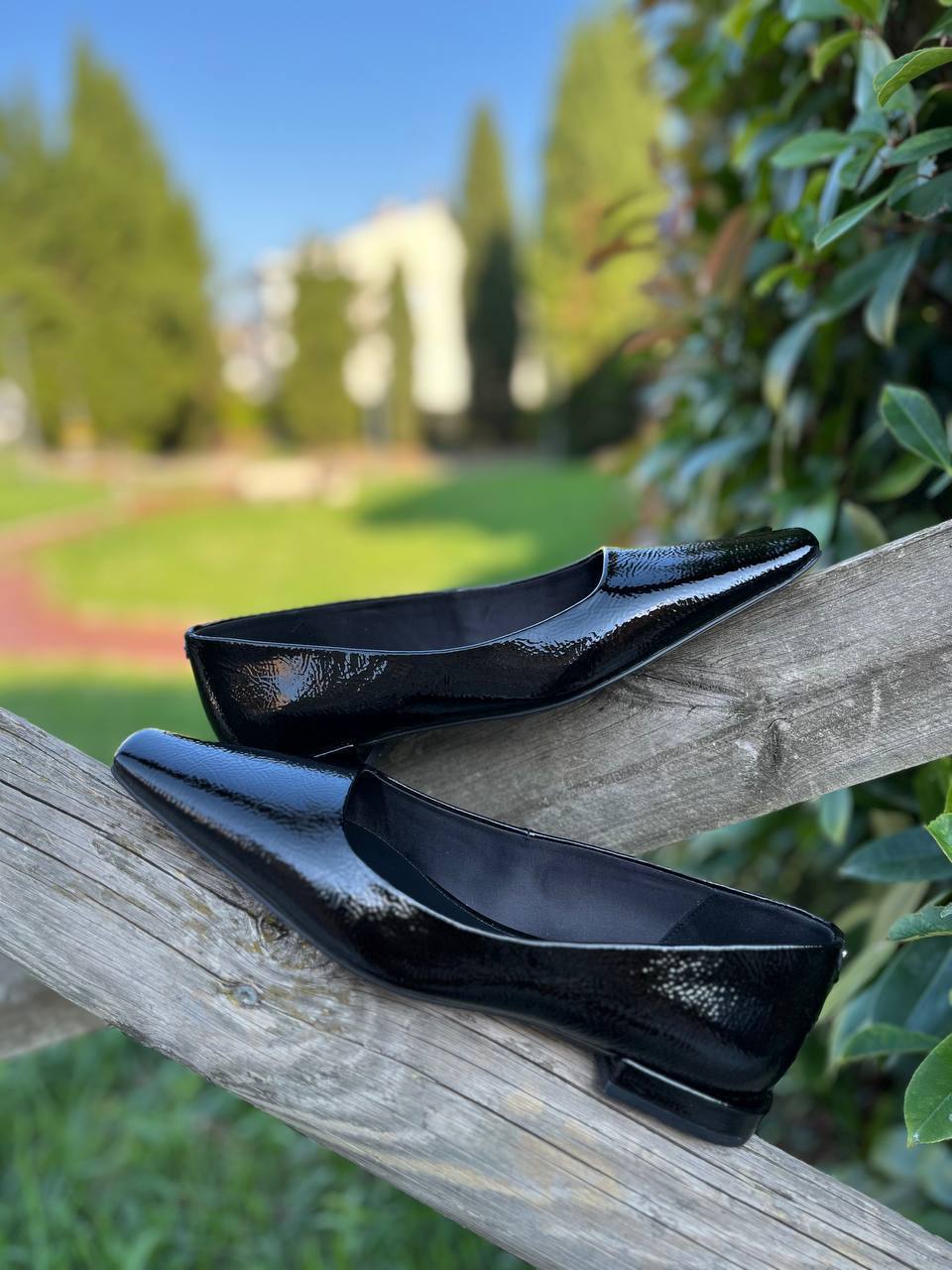 Roberto SERPENTINI 33315