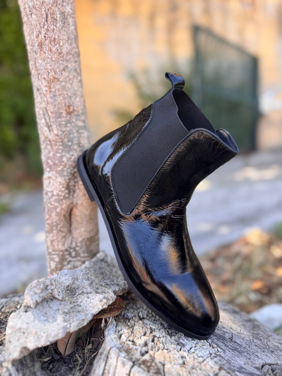 Roberto SERPENTINI 33375