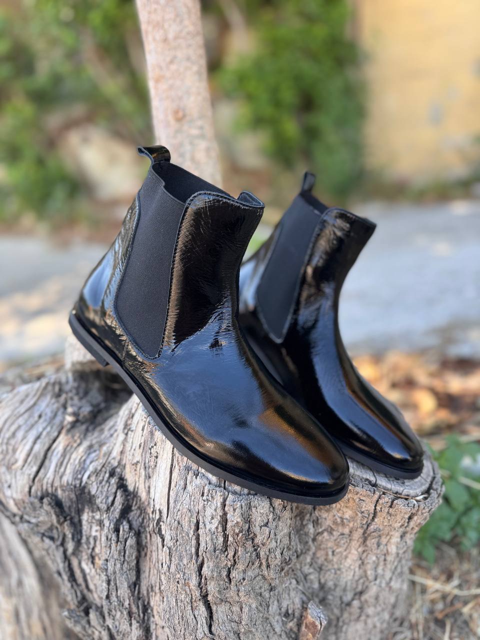 Roberto SERPENTINI 33376