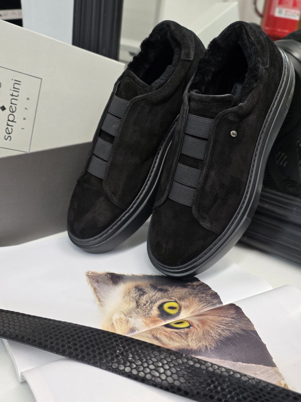 Roberto SERPENTINI 35952