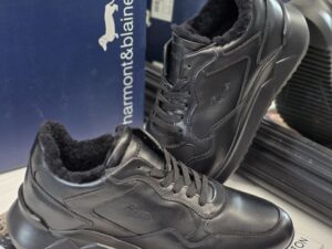 Roberto SERPENTINI 36001