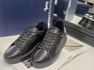 Roberto SERPENTINI 36007