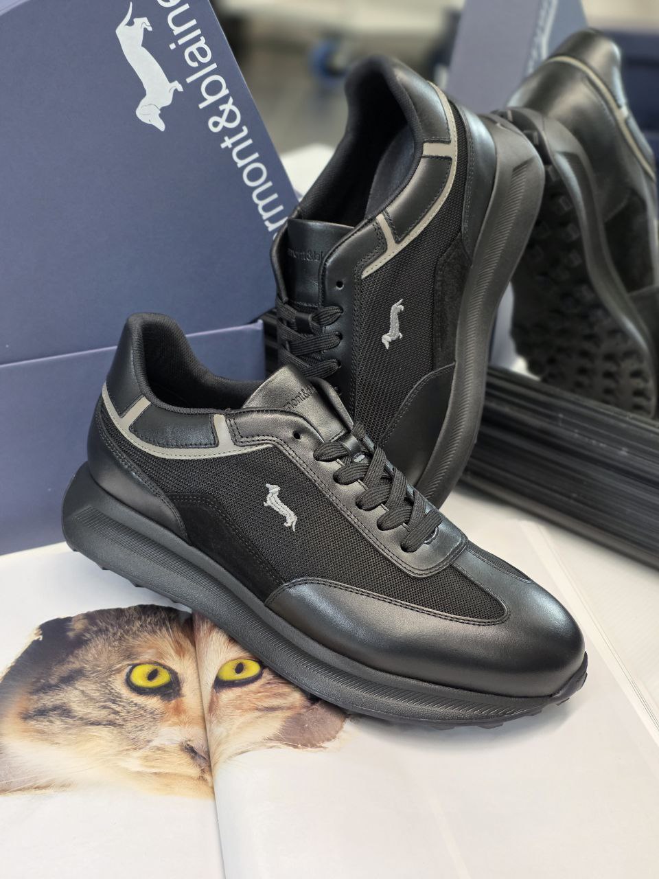 Roberto SERPENTINI 36008