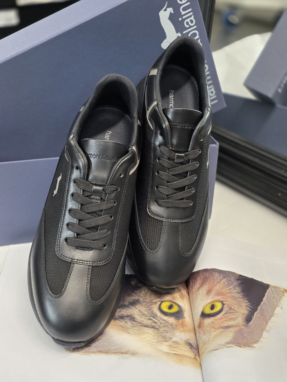 Roberto SERPENTINI 36009