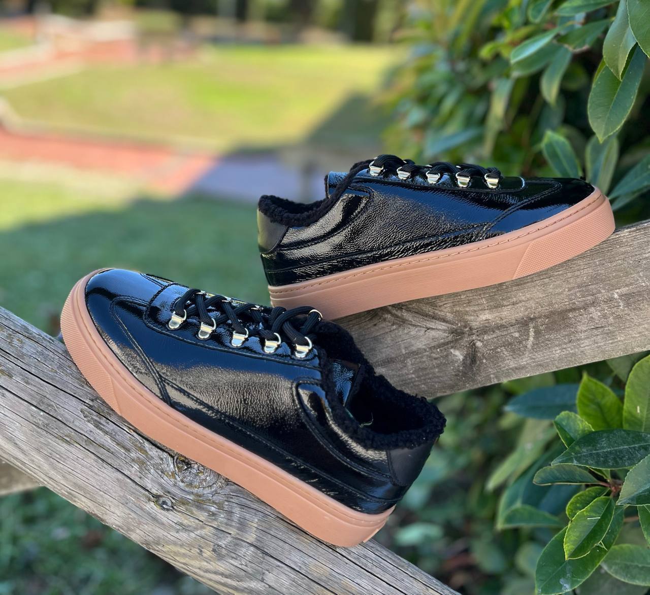 Roberto SERPENTINI 36135