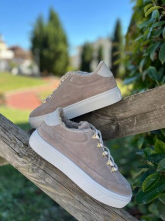 Roberto SERPENTINI 36140