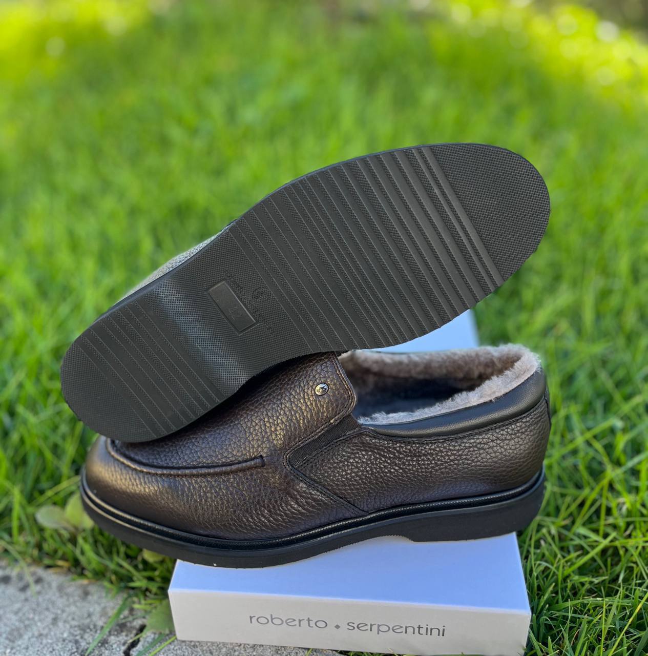 Roberto SERPENTINI 36147