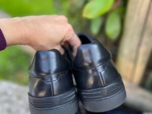 Roberto SERPENTINI 36161