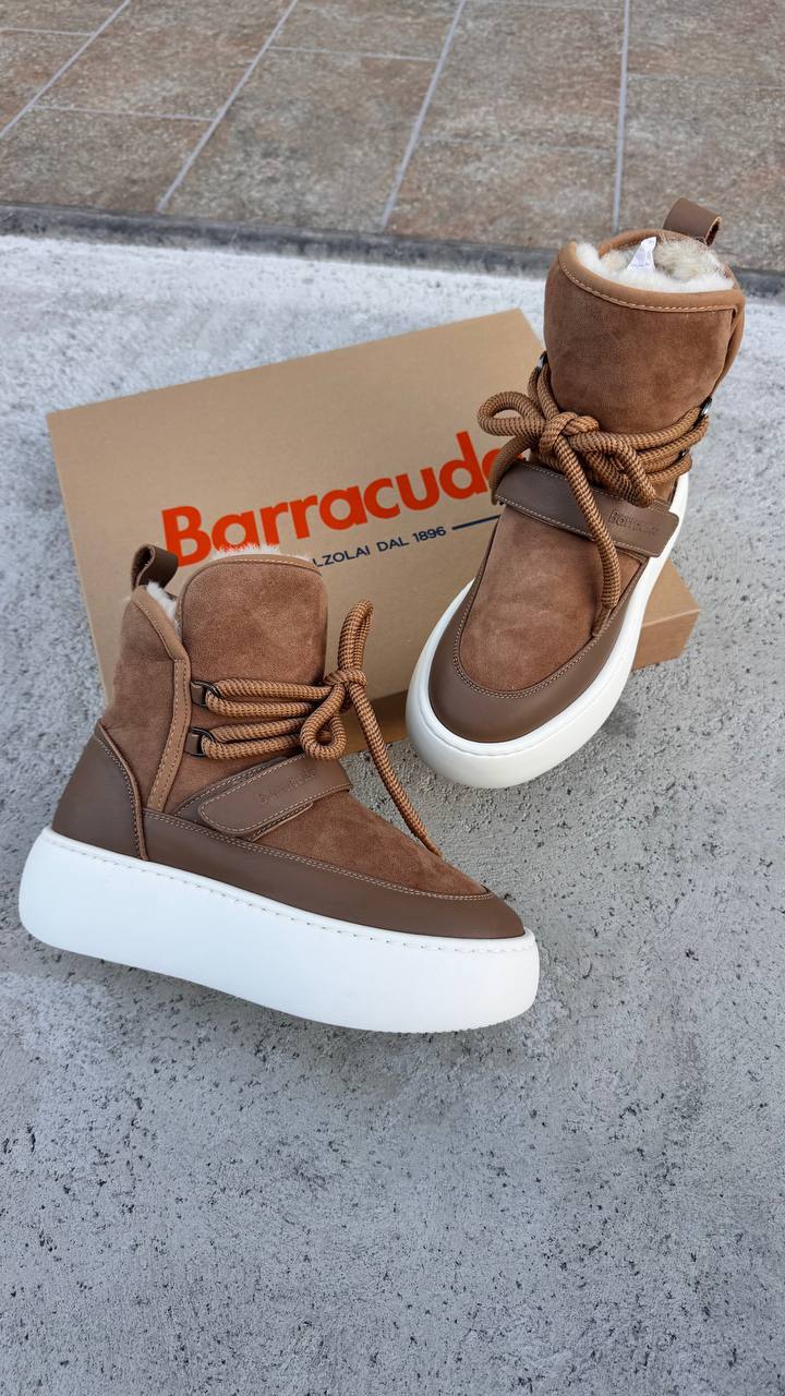 Roberto SERPENTINI 36211