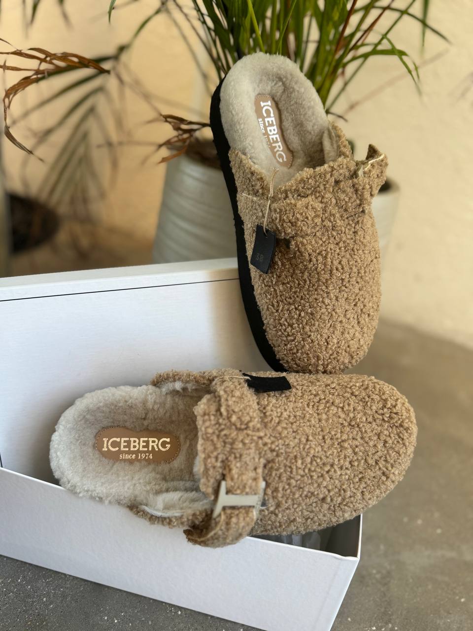 ICEBERG VITTORIO VIRGILI 19673