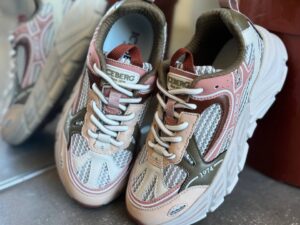 ICEBERG VITTORIO VIRGILI 19682