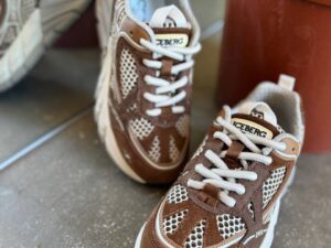 ICEBERG VITTORIO VIRGILI 19686