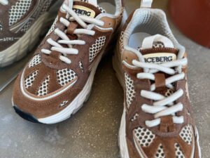 ICEBERG VITTORIO VIRGILI 19691