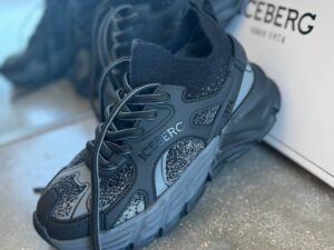 ICEBERG VITTORIO VIRGILI 19695