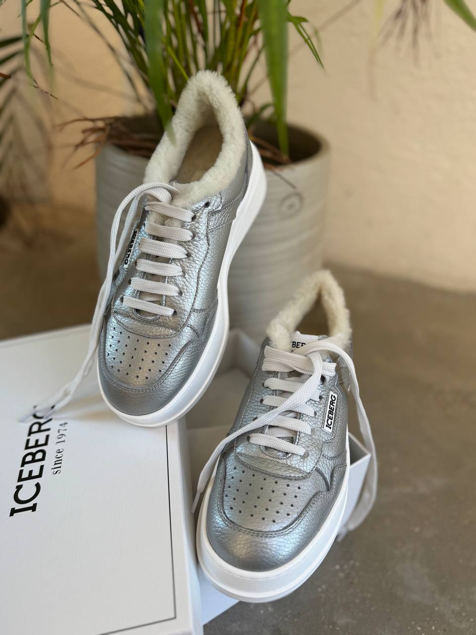 ICEBERG VITTORIO VIRGILI 19698