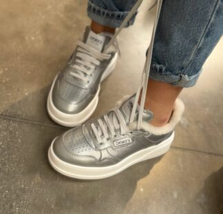 ICEBERG VITTORIO VIRGILI 19704