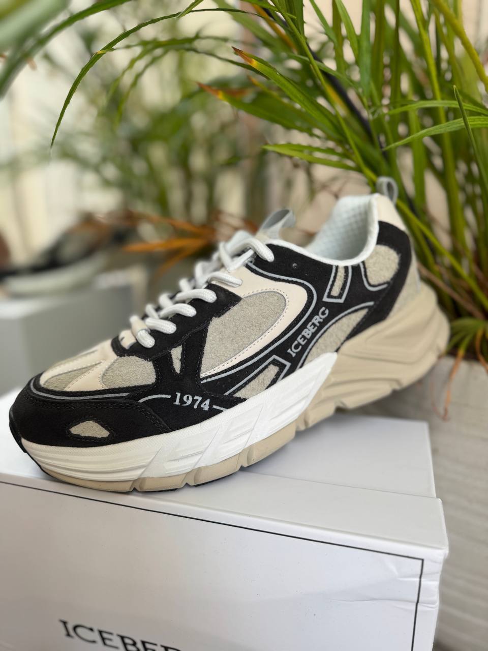 ICEBERG VITTORIO VIRGILI 19707