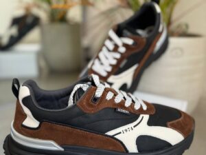 ICEBERG VITTORIO VIRGILI 19711