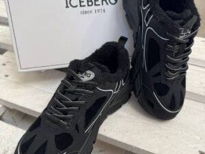 ICEBERG VITTORIO VIRGILI 19719