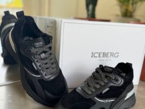 ICEBERG VITTORIO VIRGILI 19723