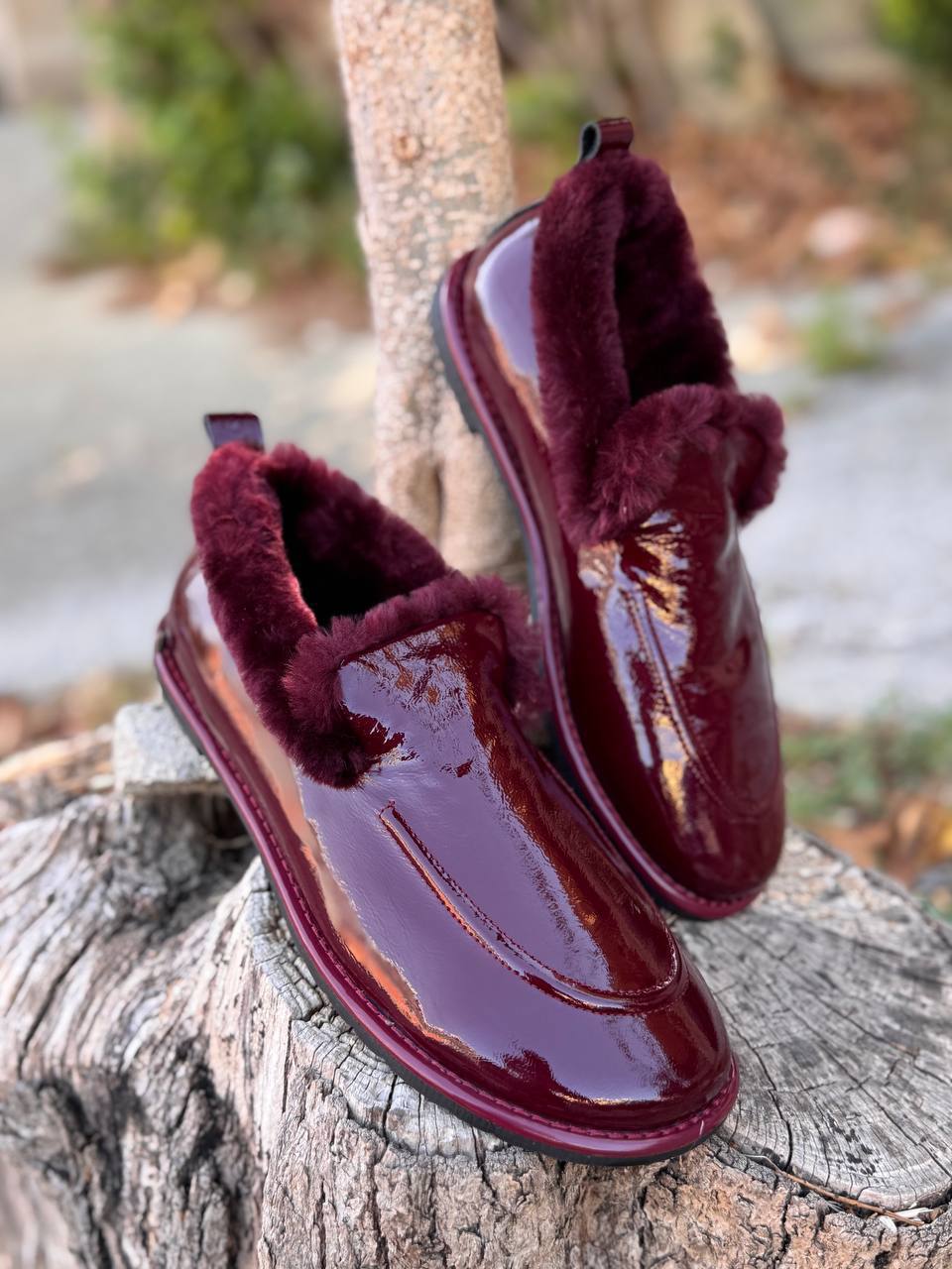 Roberto SERPENTINI 38127