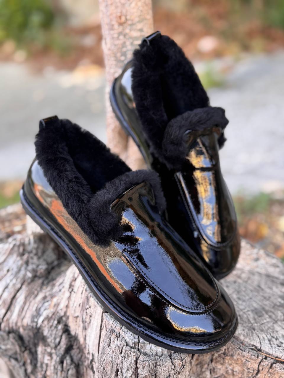 Roberto SERPENTINI 38130