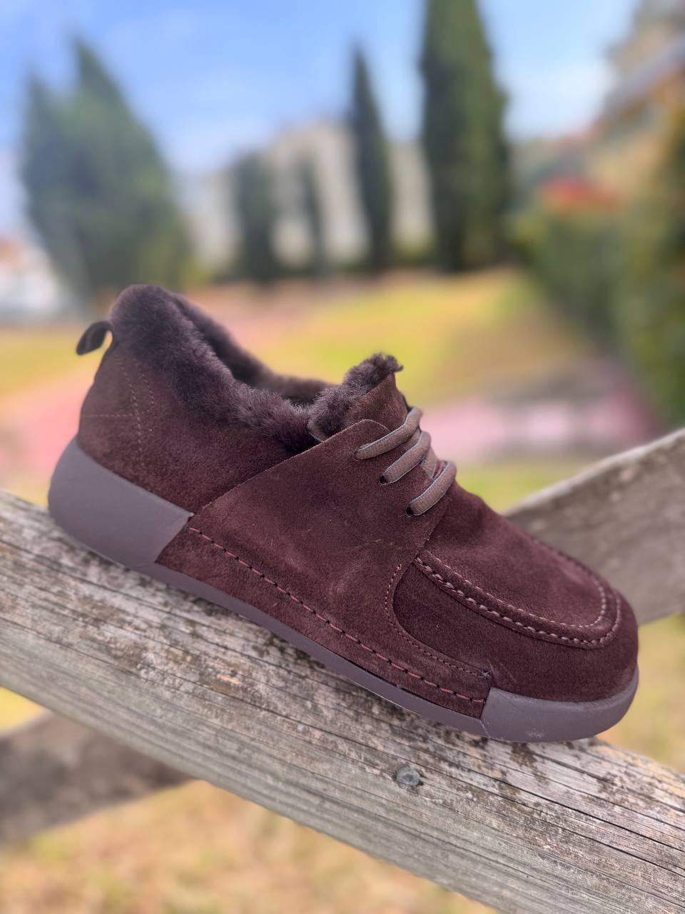 Roberto SERPENTINI 38134