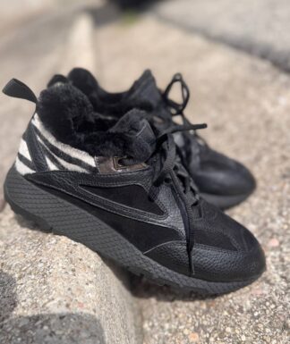 Roberto SERPENTINI 38142