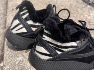 Roberto SERPENTINI 38143