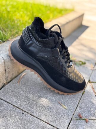 Roberto SERPENTINI 38145