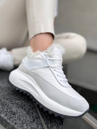 Roberto SERPENTINI 38150