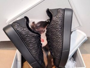 ICEBERG VITTORIO VIRGILI 20660