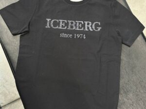 ICEBERG 31846