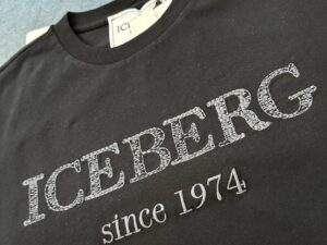 ICEBERG 31847