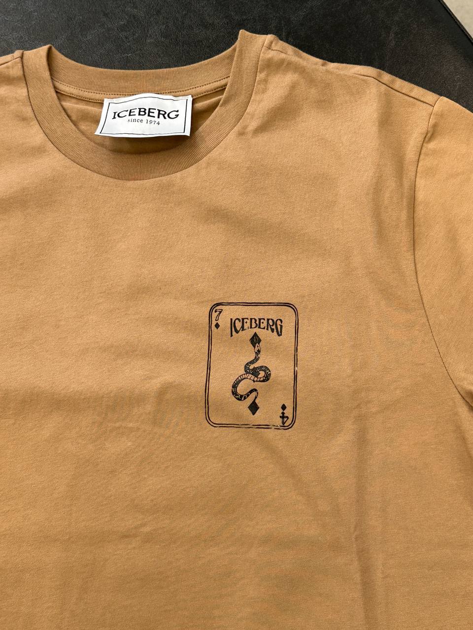 ICEBERG 31851
