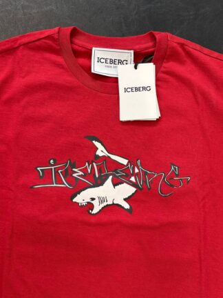 ICEBERG 31870