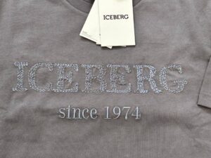 ICEBERG 31873